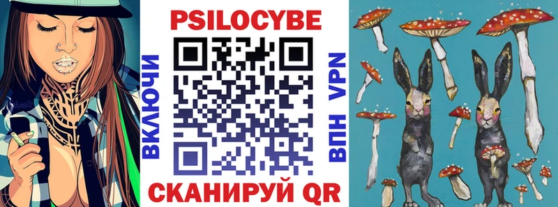 как найти закладки  Высоковск  hydra ссылки  Псилоцибиновые грибы Cubensis 