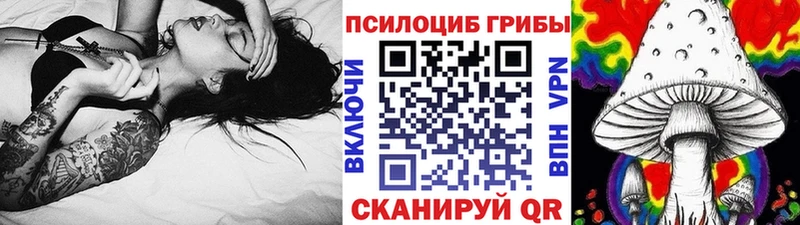 Галлюциногенные грибы Magic Shrooms Высоковск